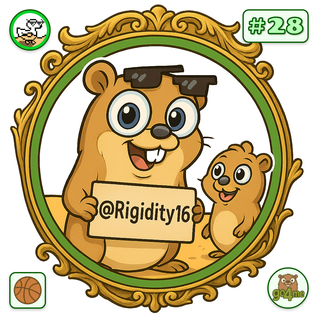 Rigidity16 avatar